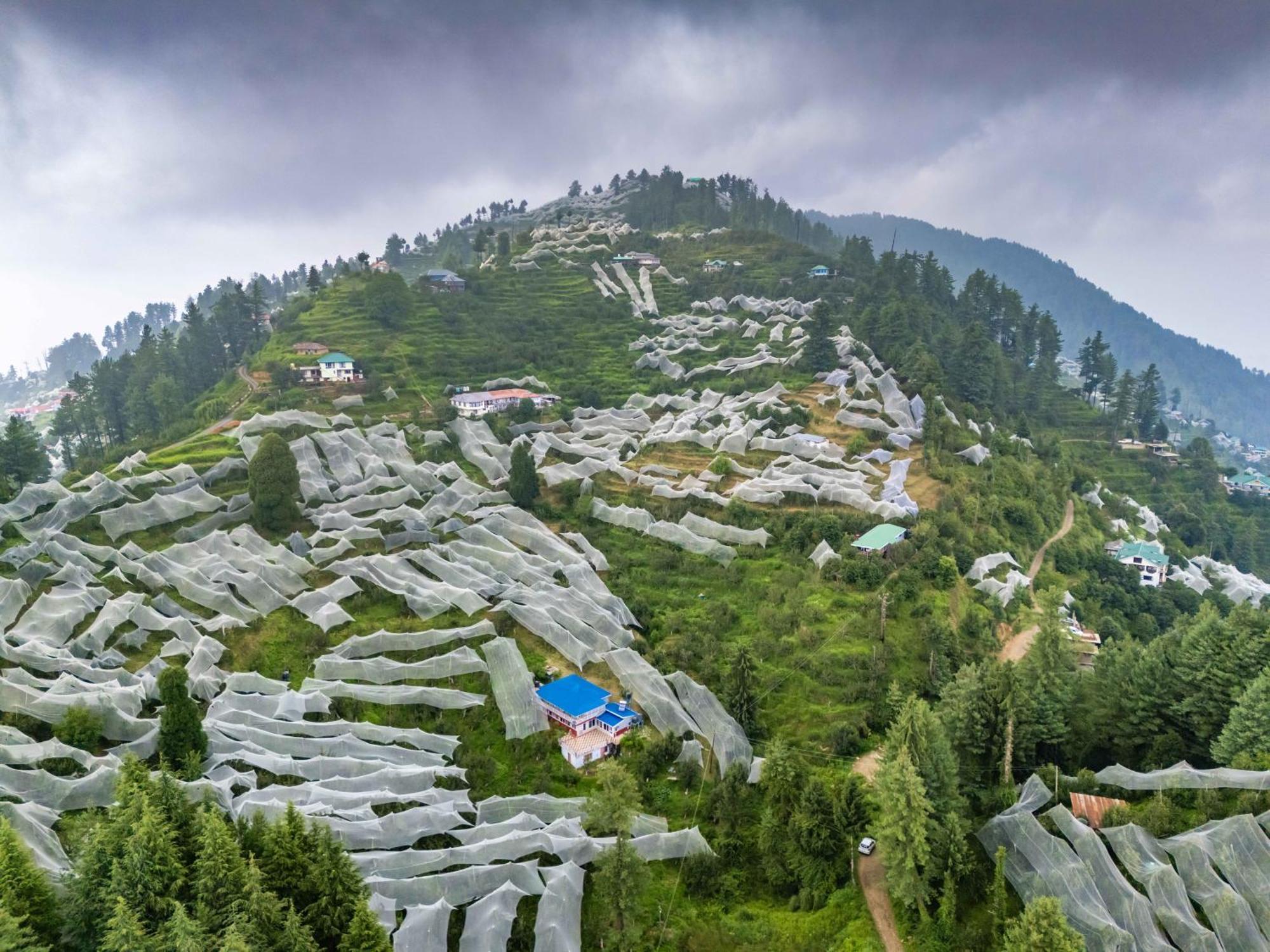 Zostel Kotgarh, Narkanda Exterior foto